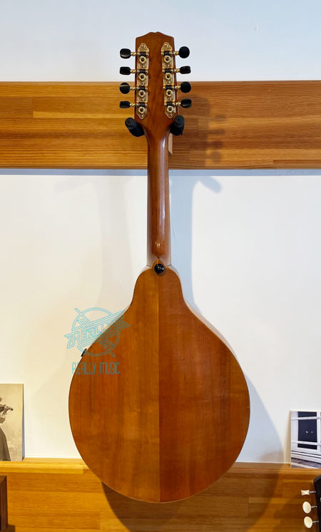  Peter Coombe / Mandola�@No.71 / 2002 