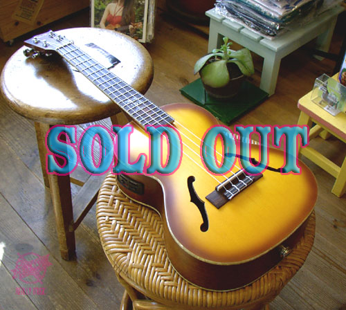  Kala Arch-Top Ukulele KA-JTE HB@/ Brand-New